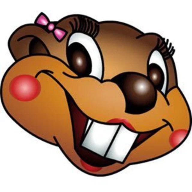 Busy Beavers on Vimeo