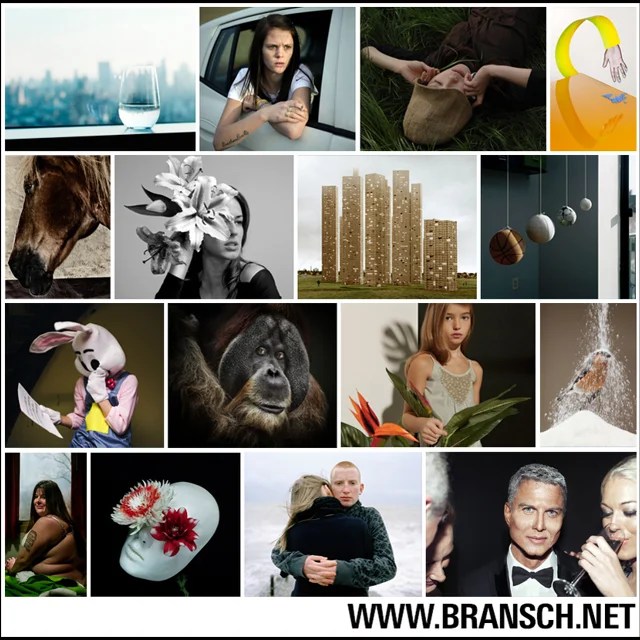 BRANSCH
