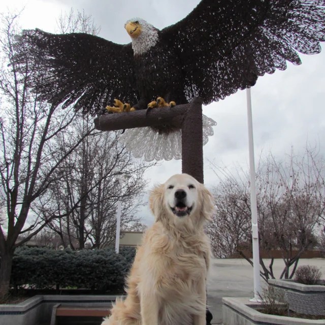 Eagle Veterinary Hospital