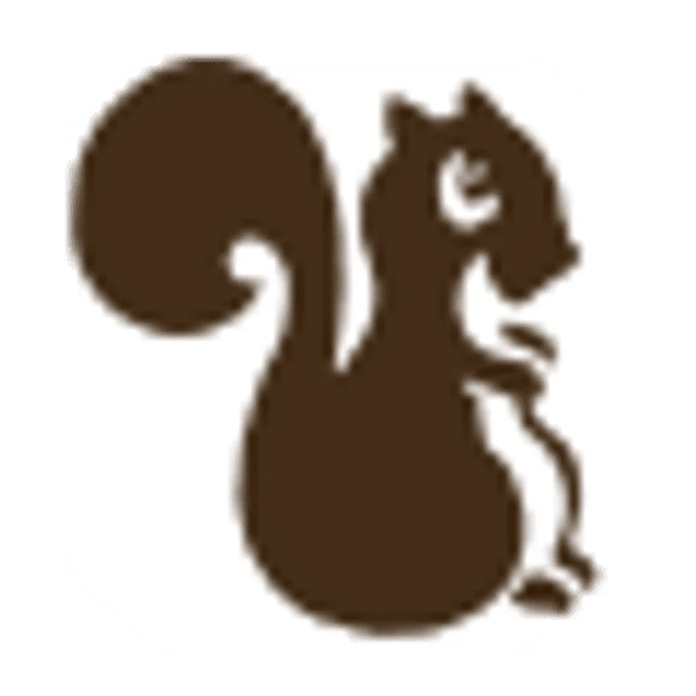 Brown Squirrel Furniture