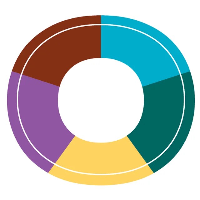 World Vision Strategy