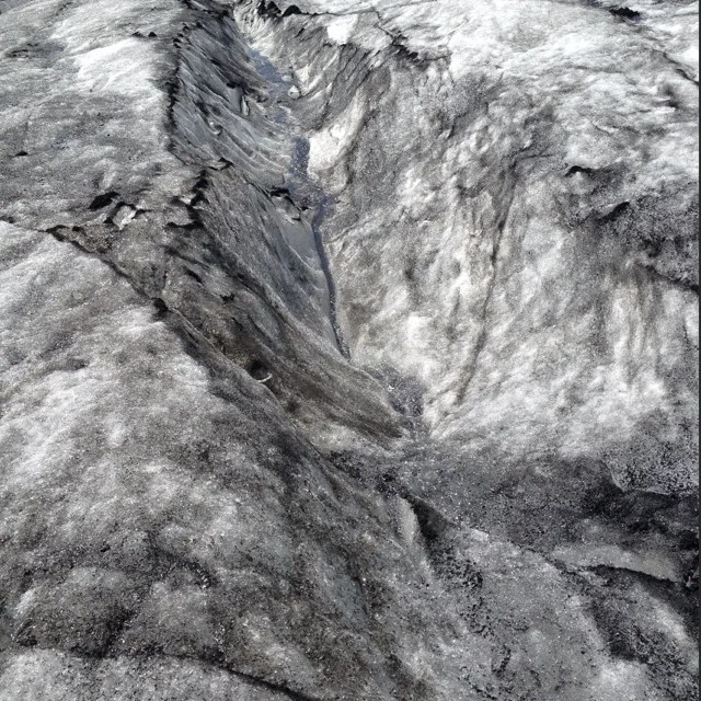 Shelley Hopkins Video Editor & Filmmaker