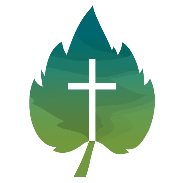 The Vine Baptist Church