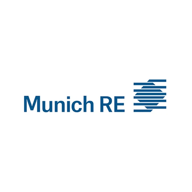 Munich Re Automation Solutions