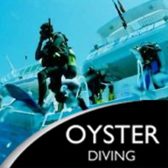 Oyster Diving