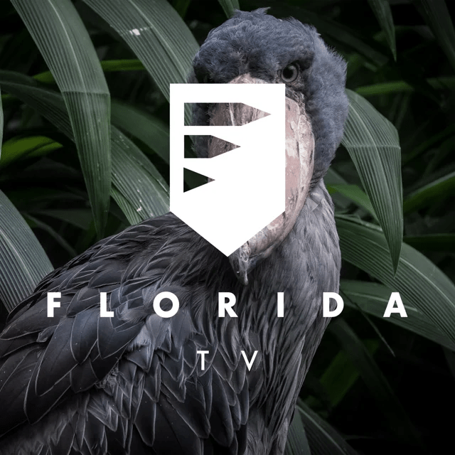Florida TV