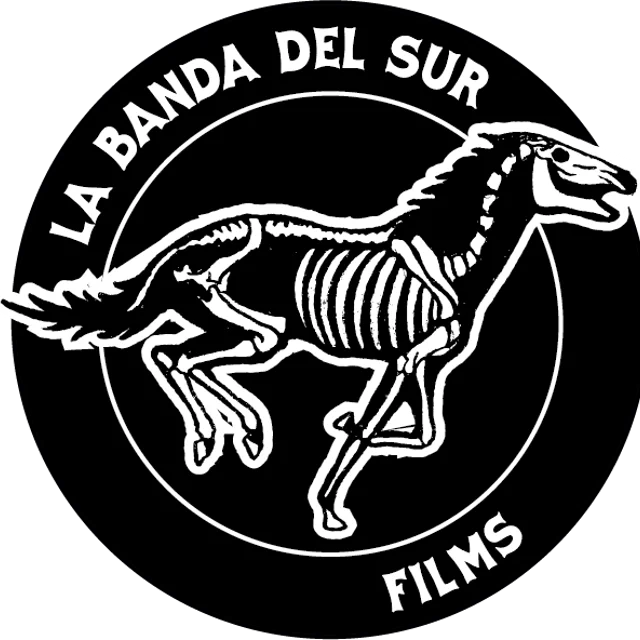 LA BANDA DEL SUR FILMS