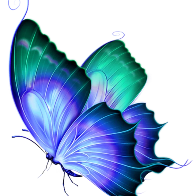 Butterfly Service Video