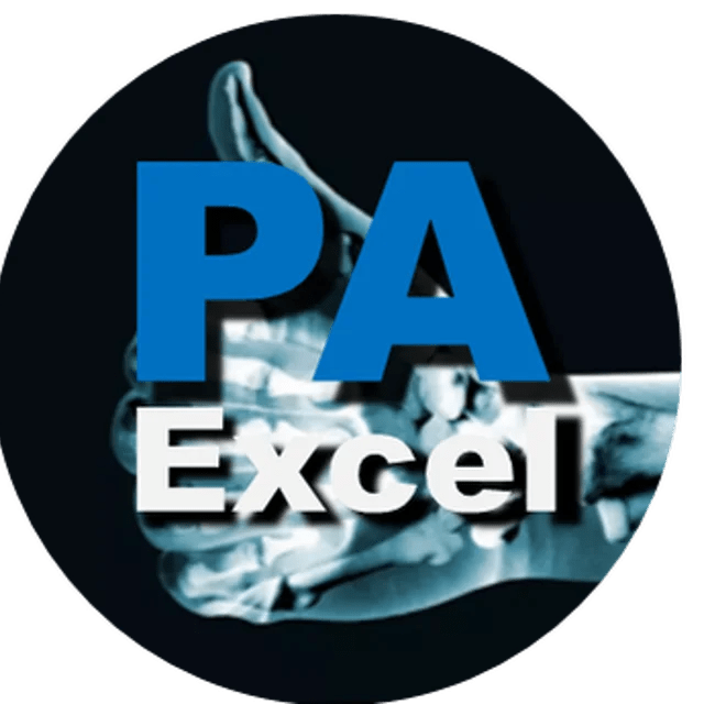 PA Excel