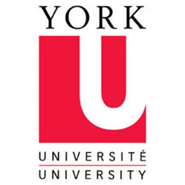 York University
