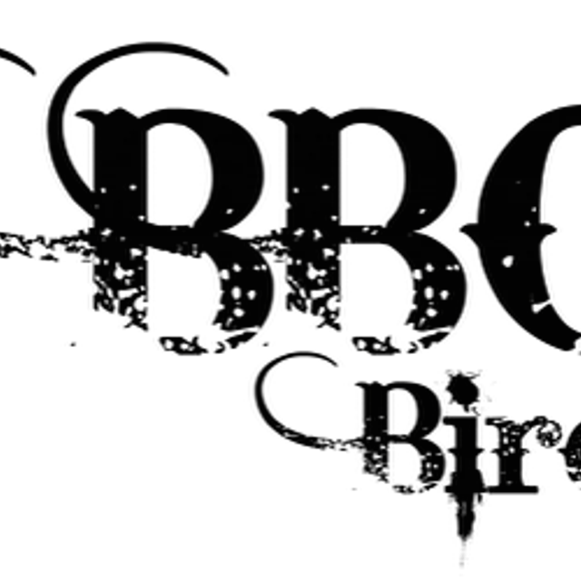 BBC Birds