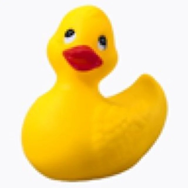 Rubber Duck