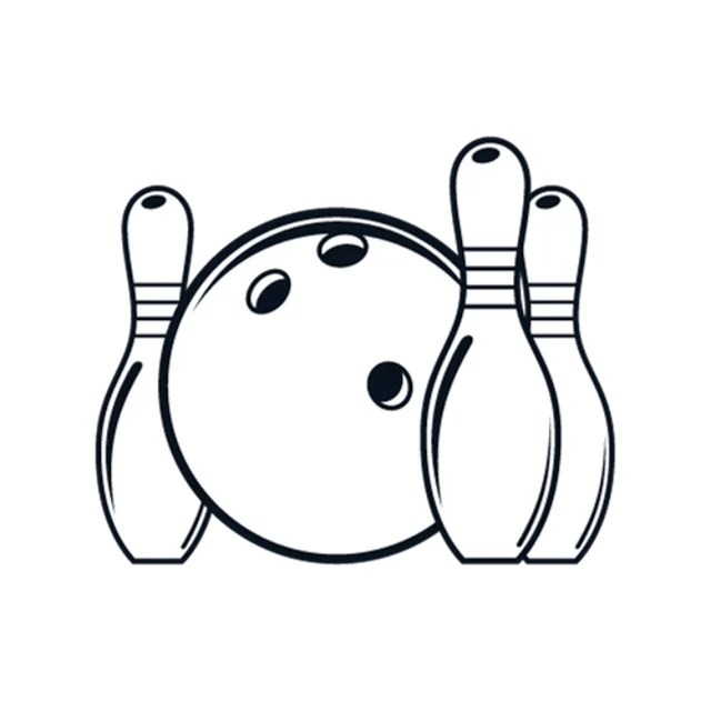 Best Bowling Balls 2024