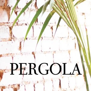 Pergola Nyc On Vimeo