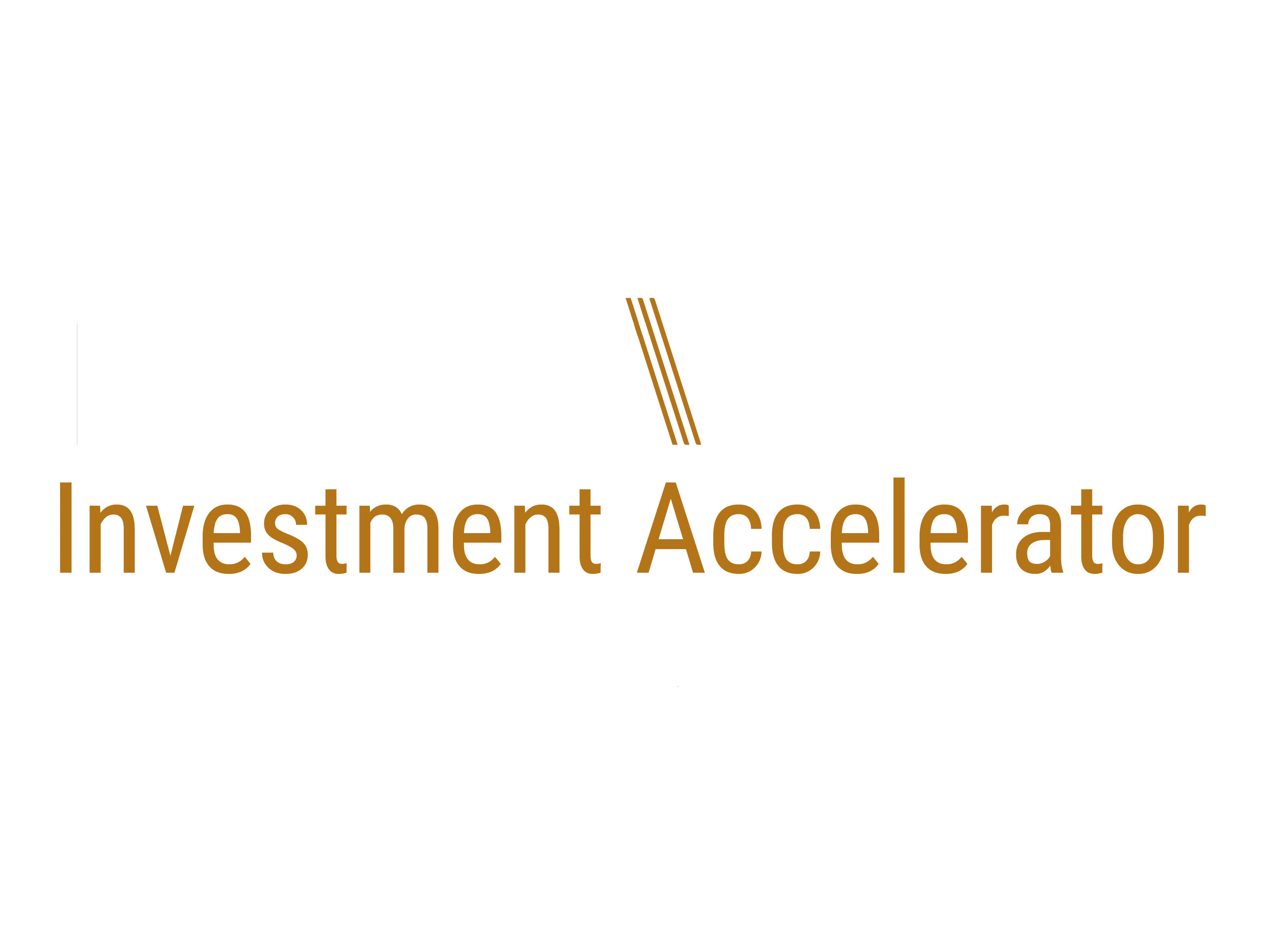 Bronze Valley Investment Accelerator Showcase