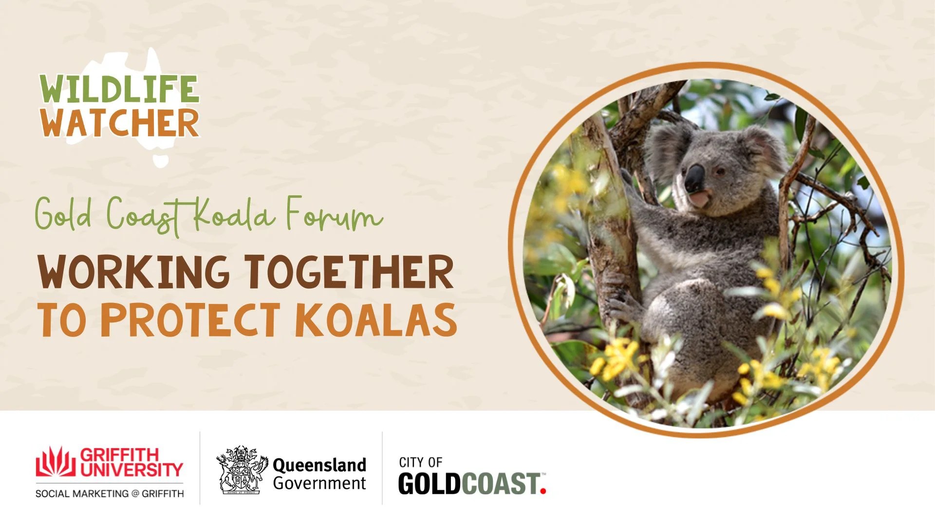 Gold Coast Koala Community Forum