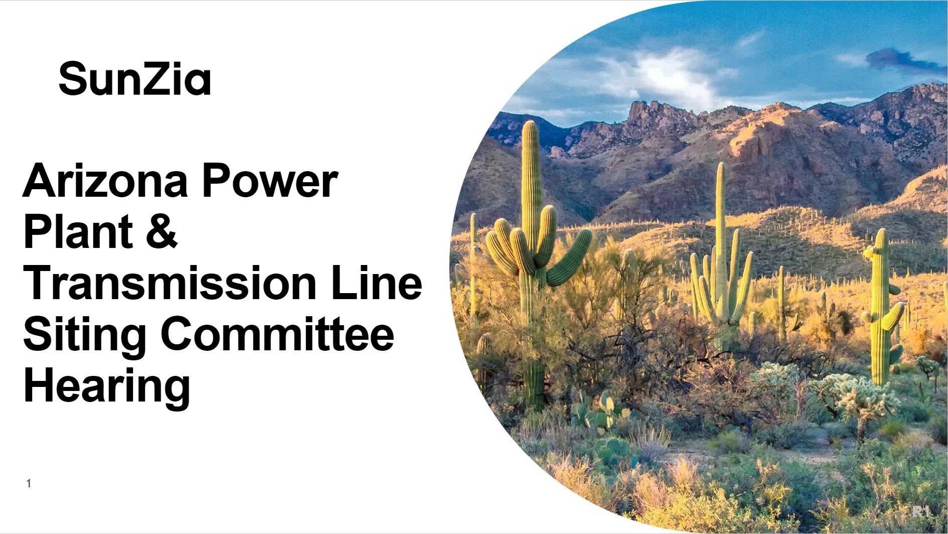 Arizona Power Plant & Transmission Line Siting Committee Hearing for