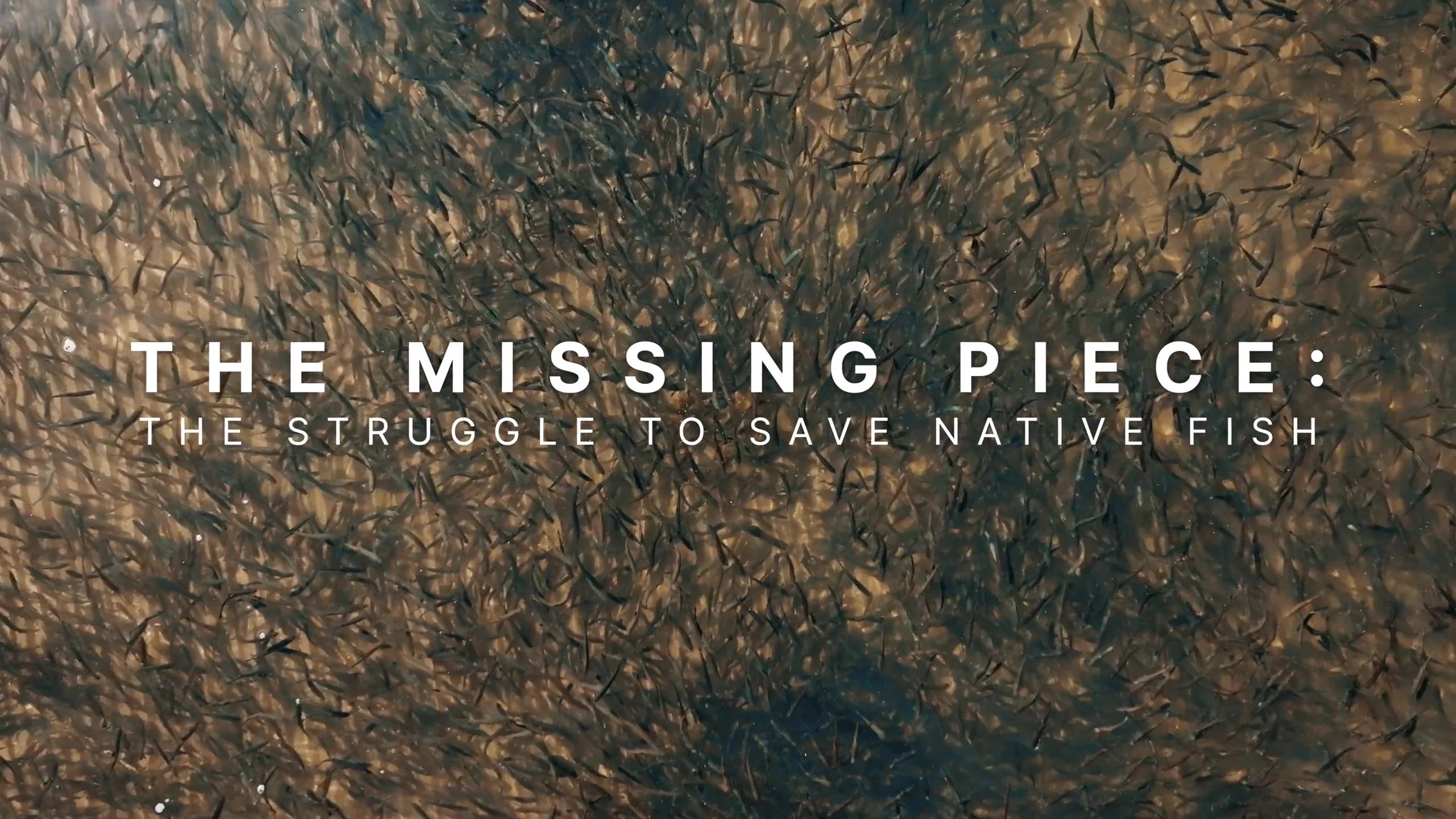 The Missing Piece (Final) on Vimeo