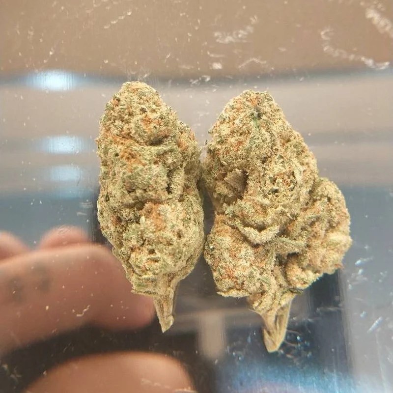 Blue Cheese Kush Cannabis Flower at WYM Medical Cannabis in Bangkok