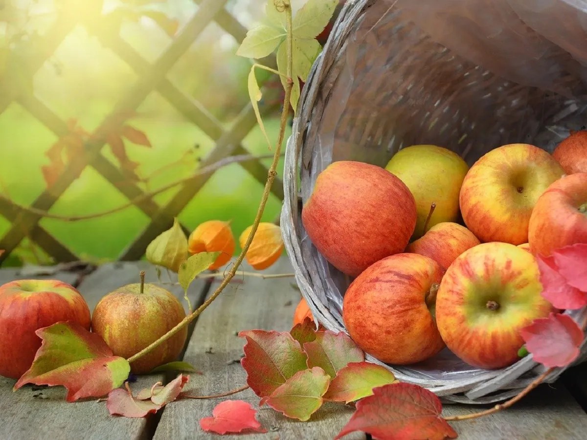 Weight loss foods Want to lose weight? Check out the list of fruits