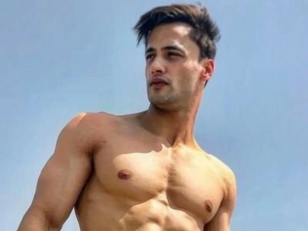 Too hot to handle! Bigg Boss 13 star Asim Riaz is raising
