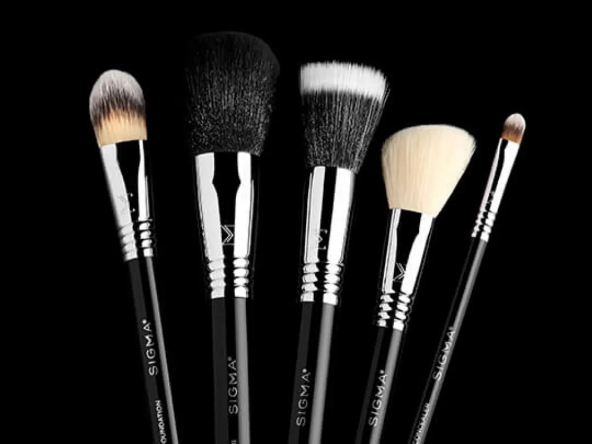 Makeup brushes Types of brushes in makeup brush sets and its purpose