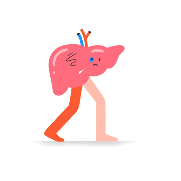 肝脏的神经调节：大脑，竟是护肝卫士？ 哔哩哔哩