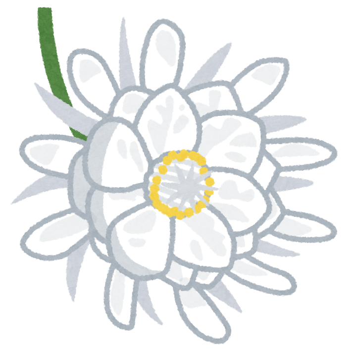 "Queen of the Night" illustration material Lots Of Free Illustration