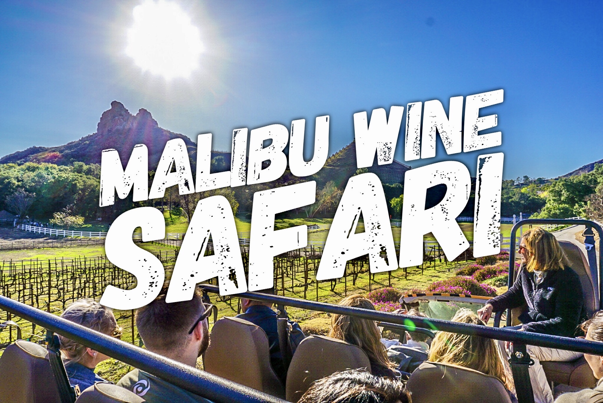 Sip, Sip, Hooray! Malibu Wine Safari AdventurPro