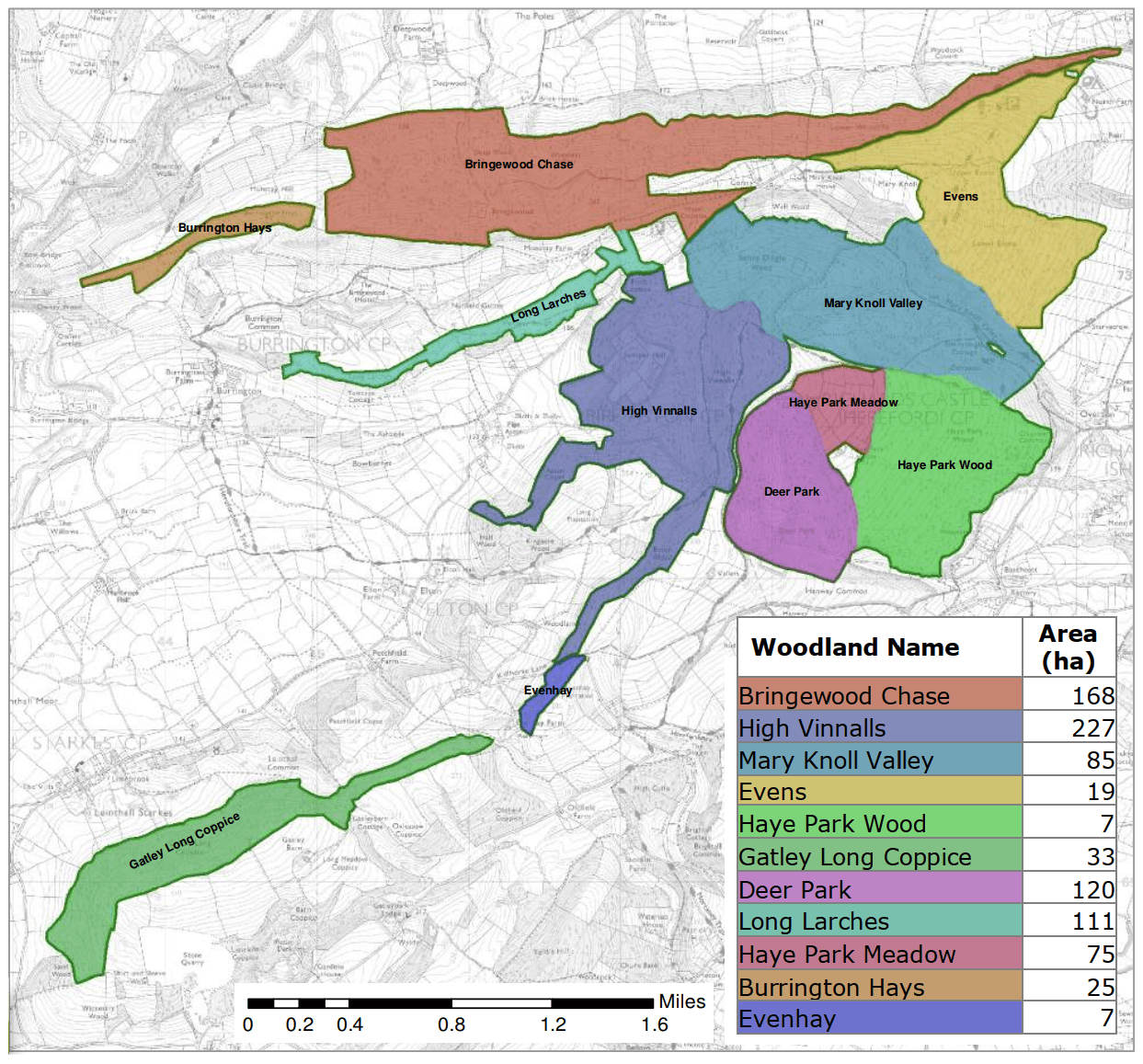 New Forest Visitor Map Merritt Cartographic