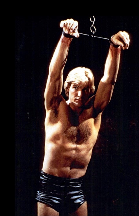 Flesh Gordon | Arnold Zwicky's Blog