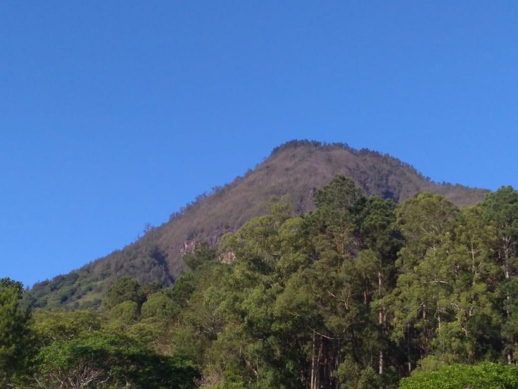 Kisah Nabi Isa dan Ibunya - Majalah Islam Asy-Syariah