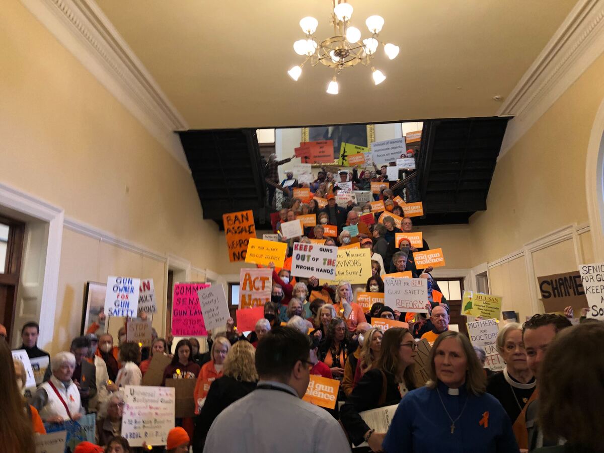 Letter: ‘Crisis intervention’ bill protects gun owners' due