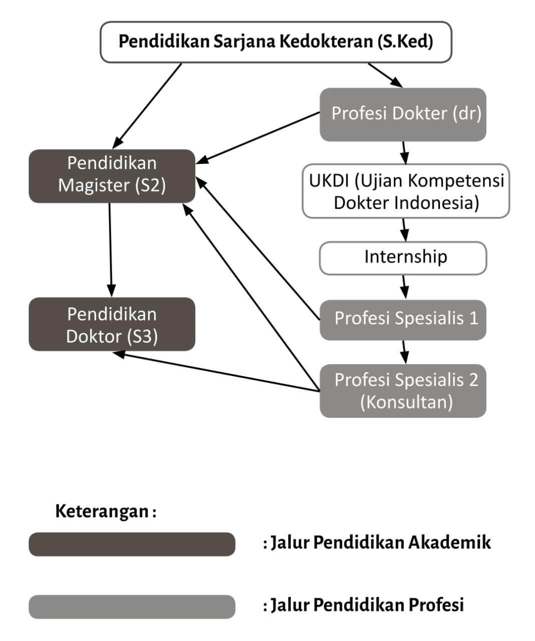 5 Tahapan Menjadi Dokter Spesialis (Jenjang Pendidikan Jurusan Kedokteran)