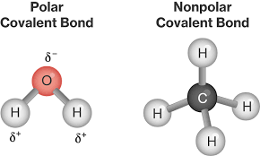 In compounds such as methane, seen drawn at 2:57, all of the 4 bonding electron clouds are a 109.5 degrees from each other. Simple Molecules And Their Shapes Covalent Molecules E G Methane Ammonia Crystalline Solids Their Network Structure E G Diamond Classnotes Ng