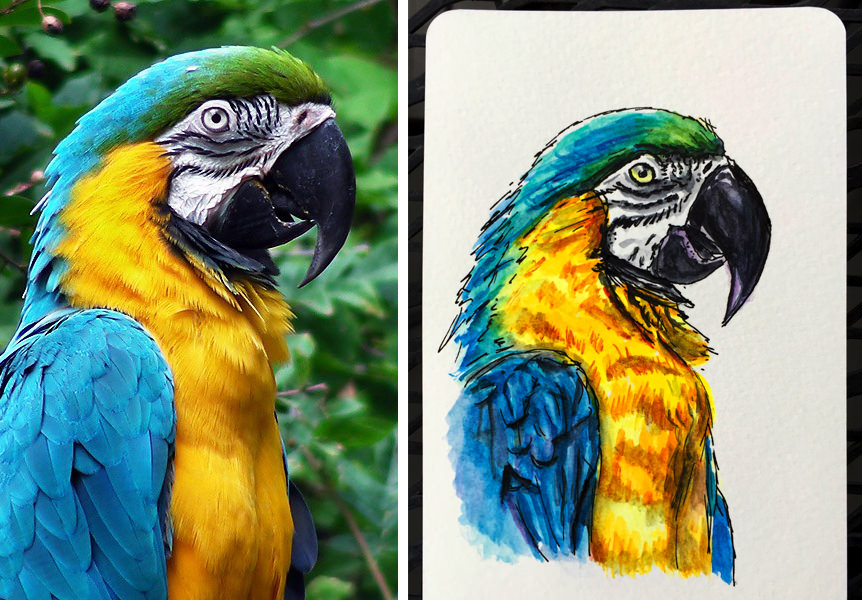 Painting References Photos, Download Free Painting.