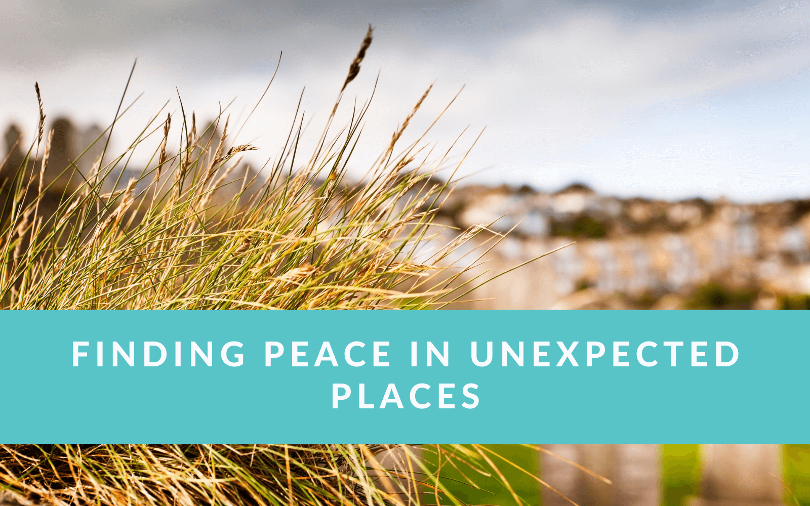 Finding Peace in Unexpected Places Drops of Wellbeing(03)