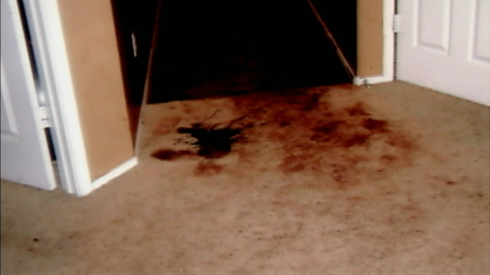Jodi Arias Travis Alexander Evidence