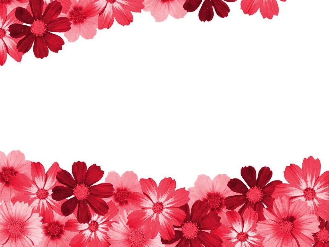 How TO Add a Border to an Image W3Schools