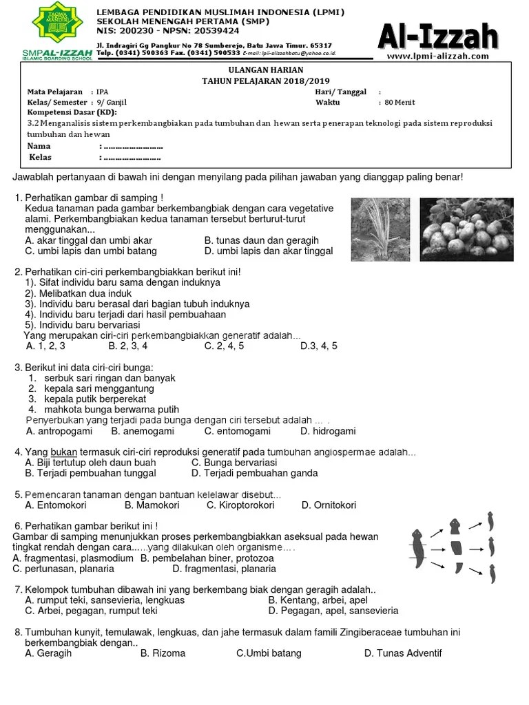 Ciri Ciri Umbi Akar / Sebutkan Ciri Ciri Wortel Minimal 6 Nanti Saya Yang  Akan Artikan Bahasa Inggris Nya Brainly Co Id / Contoh tumbuhan akar  tinggal antara lain kunyit, jahe, lengkuas,