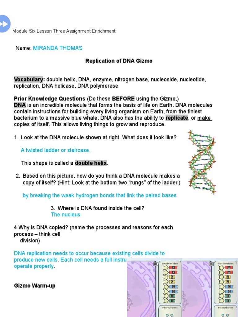 Building Dna Gizmo Answer Key Pdf - Building Dna Gizmo Answer Key Pdf Student Exploration Rna And Protein Synthesis Michael Estes Academia Edu The Paper Student Exploration Energy Conversions Gizmo Answer Key