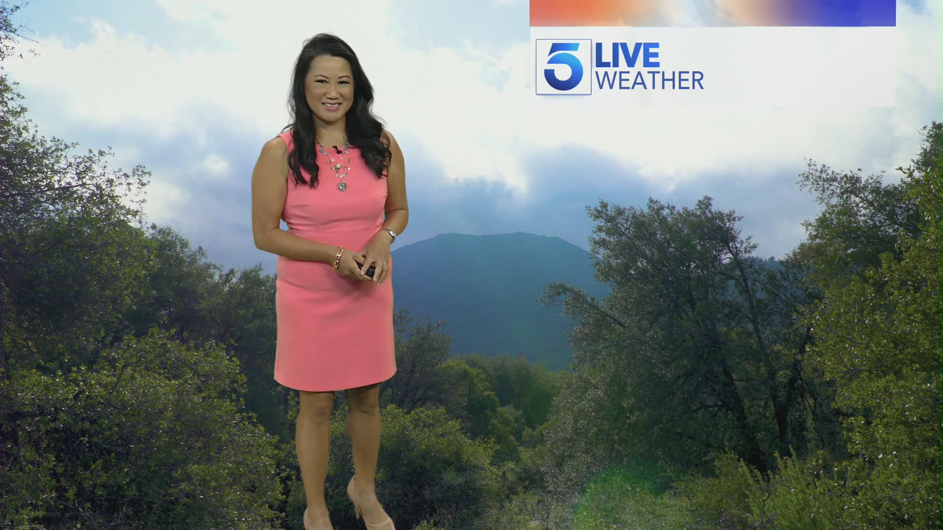 Ginger Chan KTLA