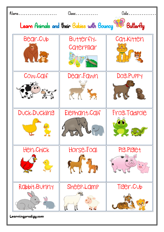 41 adorable baby animal names (with pics!)