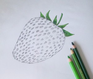 нарисовать кустик земляники