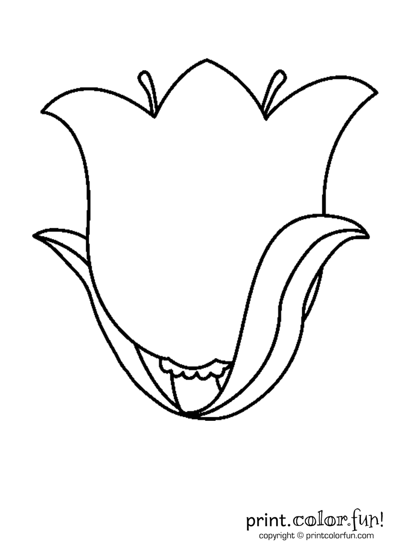 A Tulip Flower coloring page Download, Print or Color Online for.