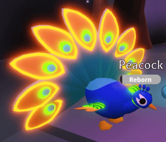 When other players try to make money during the game, these codes make it easy for you and you can reach what you need earlier with leaving others your behind. Codes Adopt Me Roblox Wiki Adopt Me Wiki Fandom Ashleychaparrophotography Wall