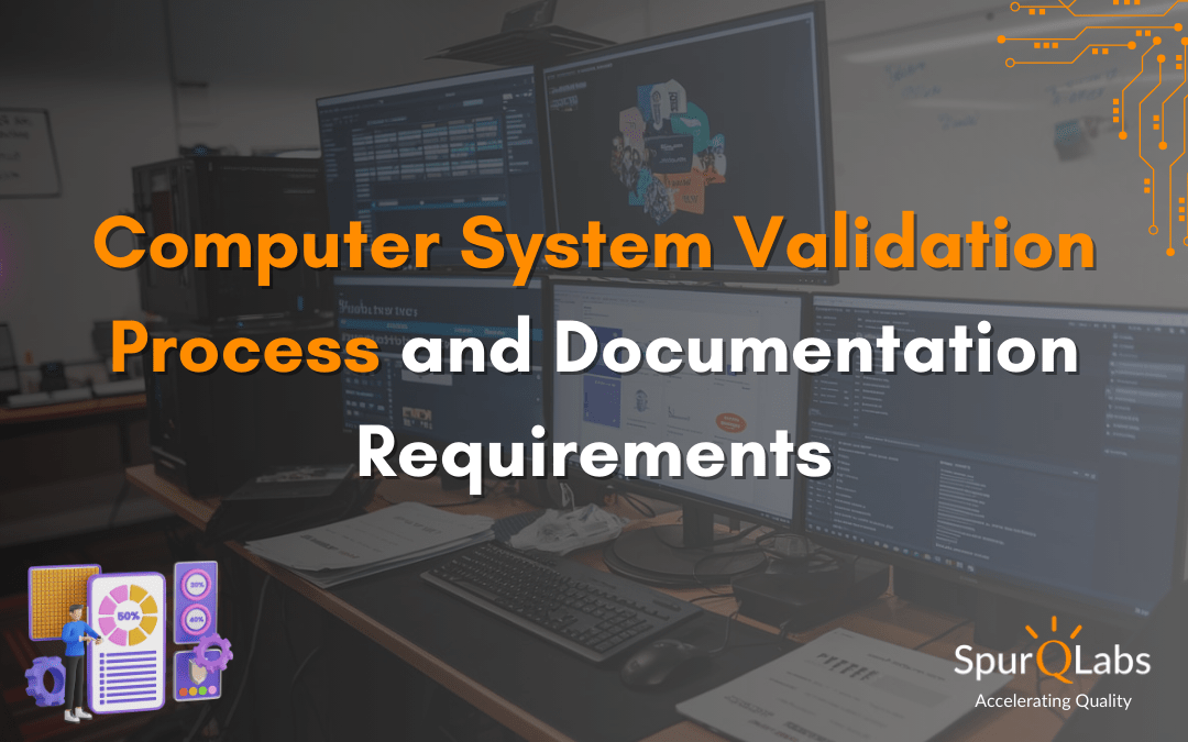 Computer System Validation Process