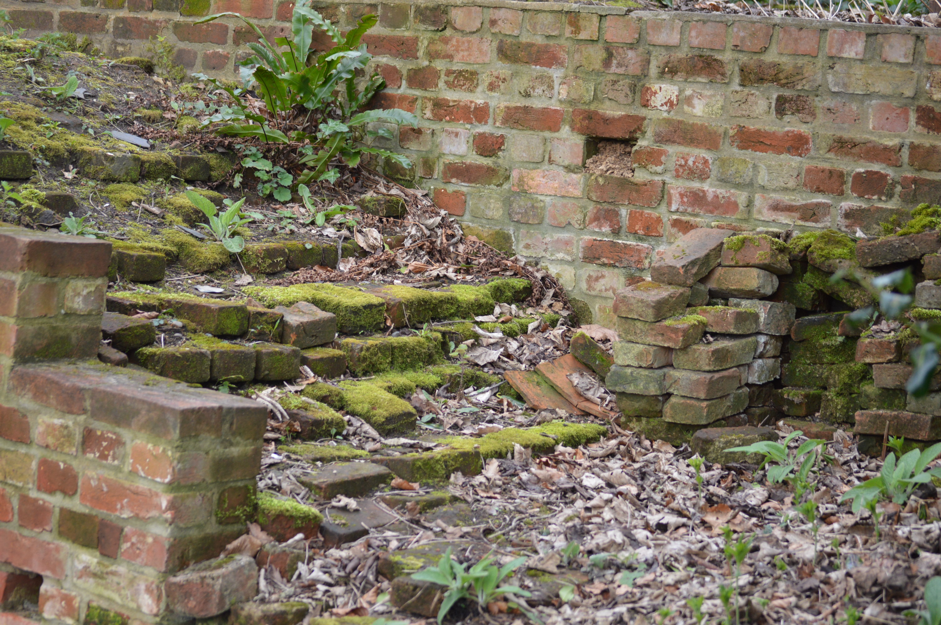steps to the terrace