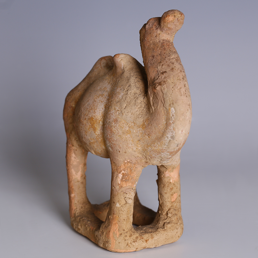 The humps are used for the storing of fat. Tang Dynasty Terracotta Camel Chinese Oriental Antiquities Ancient Orientalancient Oriental