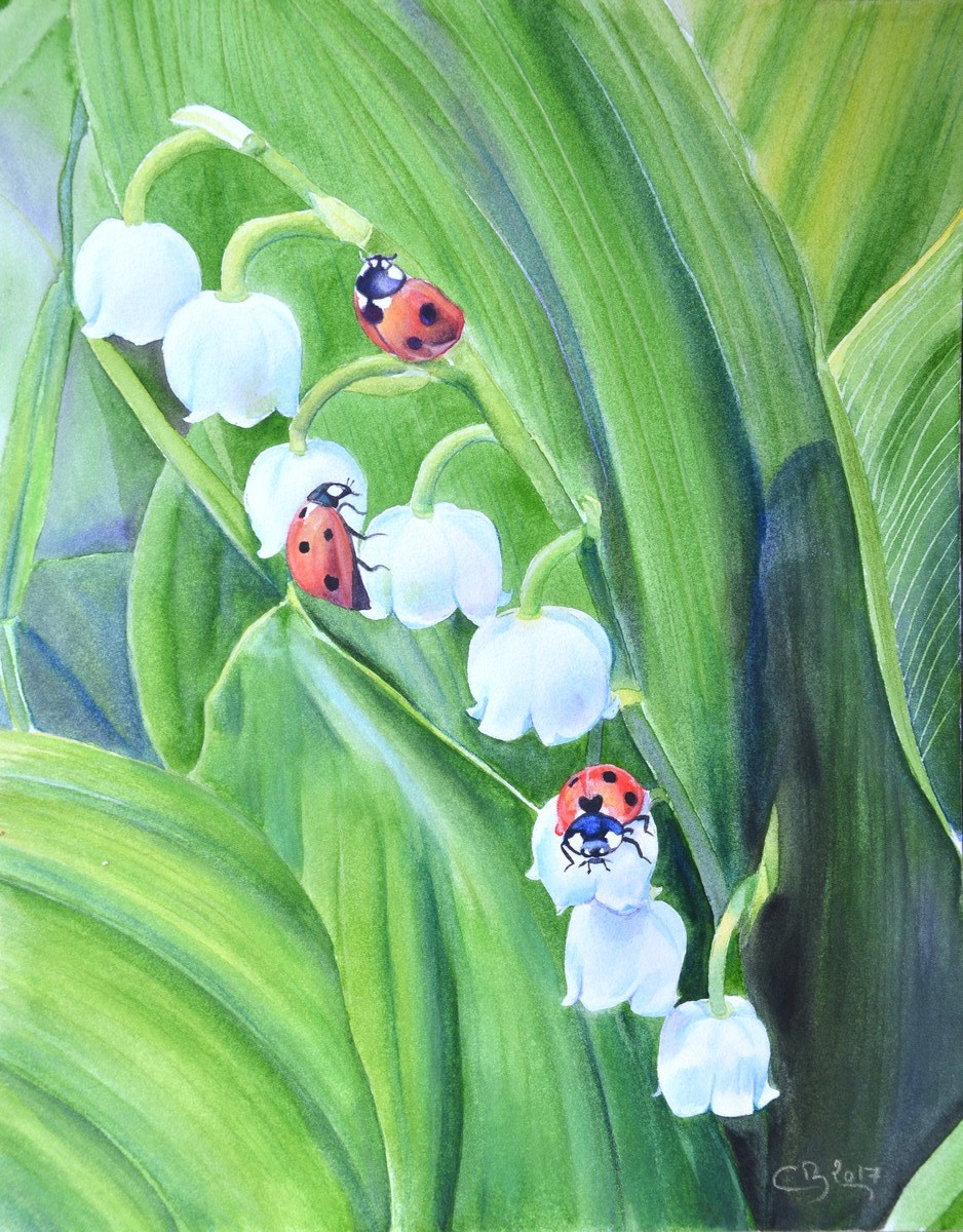 Muguet et coccinelles a l aquarelle. Muguet Et Coccinelles A L Aquarelle
